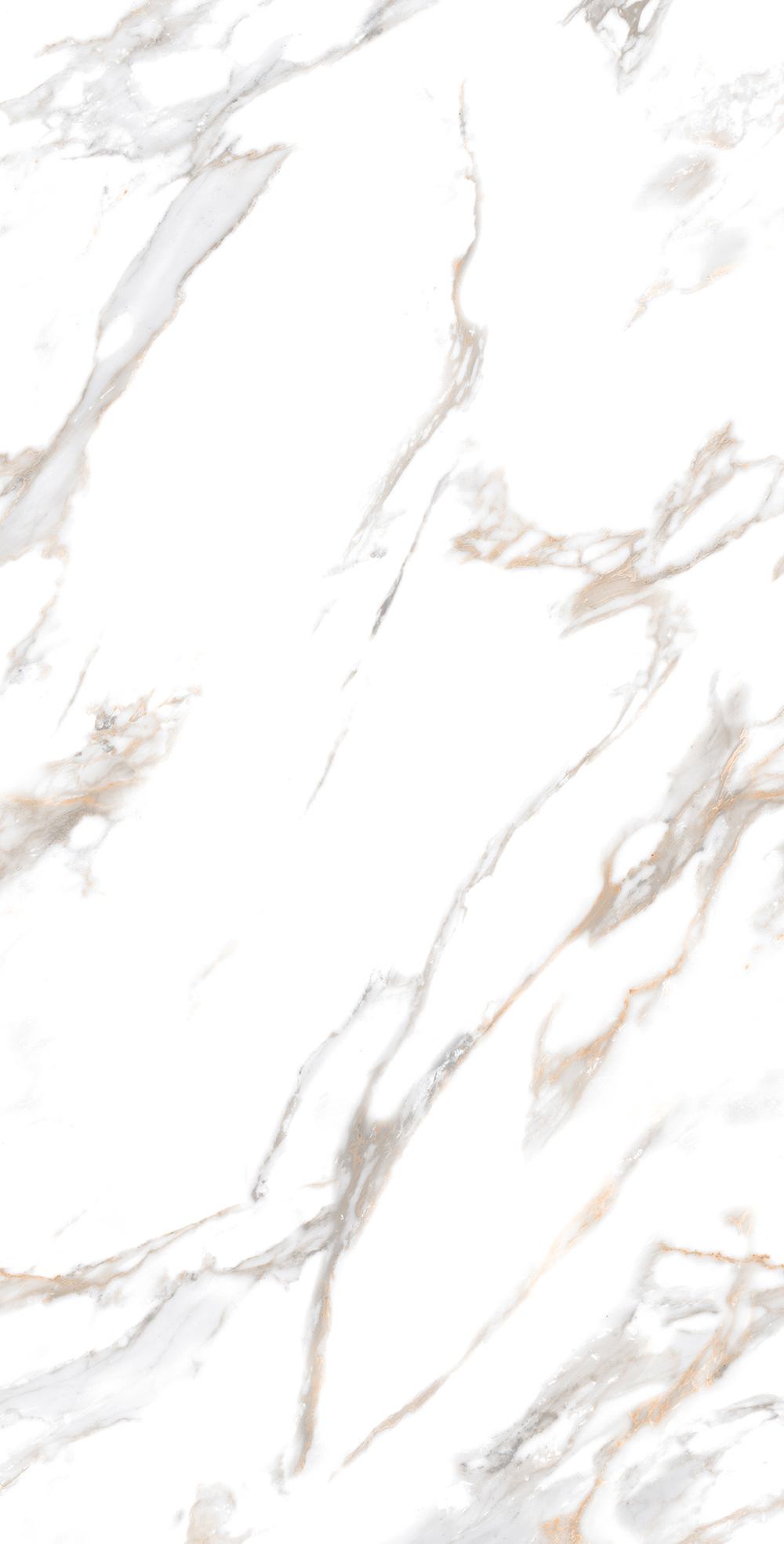 Керамогранит, Arcadia Ceramica, CALACATTA GOLD, 1200x600 мм, карвинг