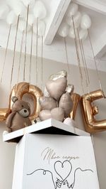 Воздушные шары №6058