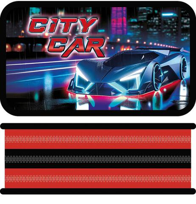 Пенал 3 секц. большой тканевый торец 190/105 "City car 2025" (Пчелка)