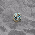 Значок «Барс»