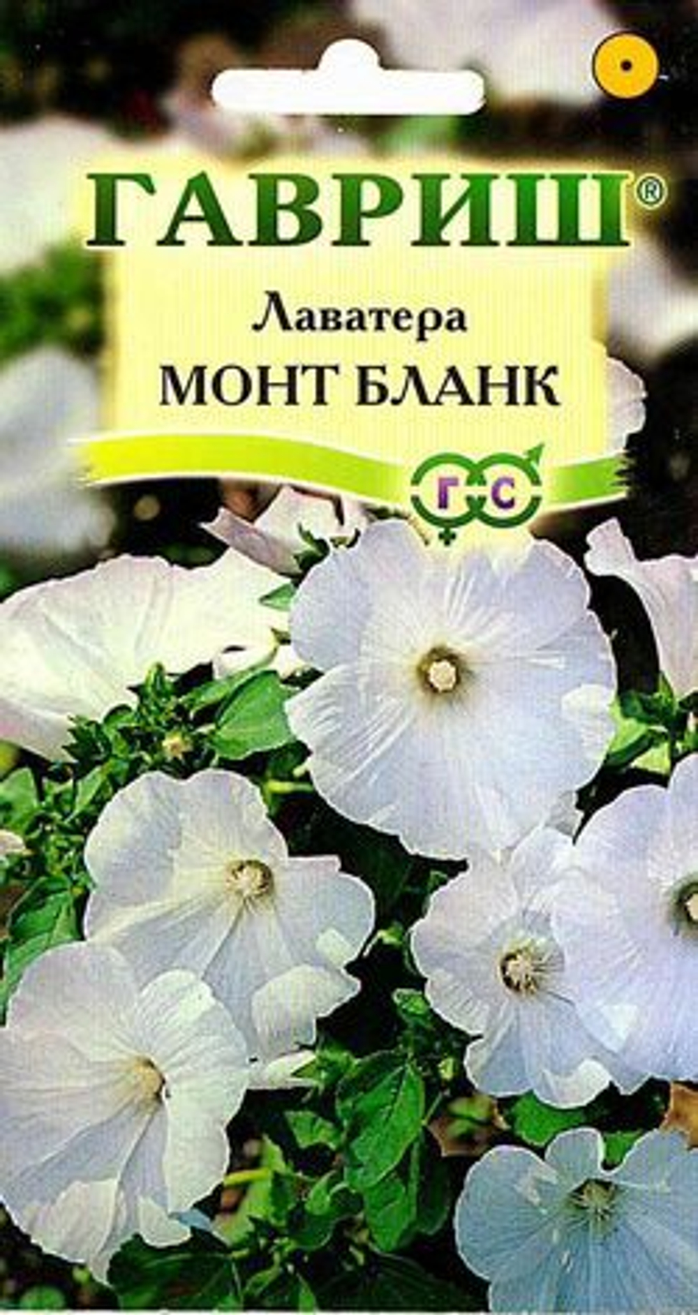 Лаватера Монт Бланк 0,5 гр Гавриш