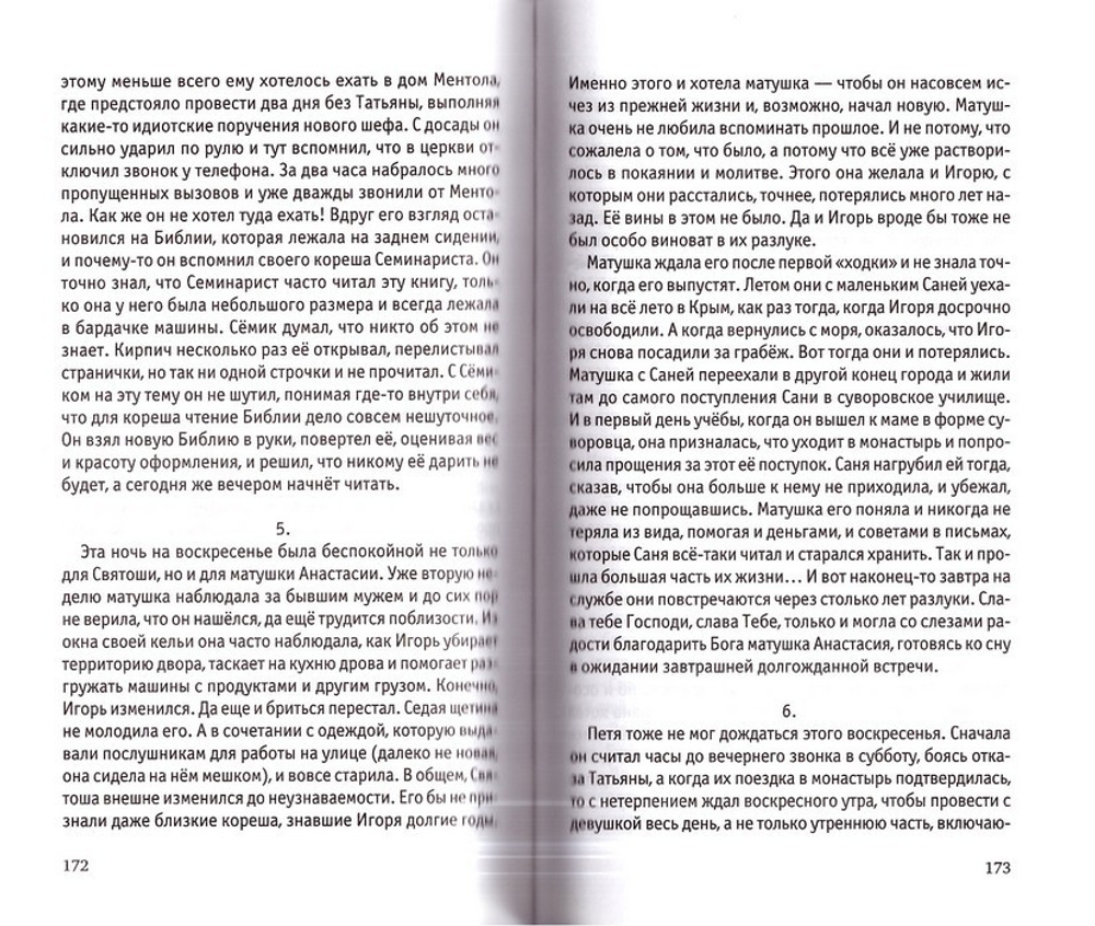Семинарист. Детективная повесть. Протоиерей Александр Акулов