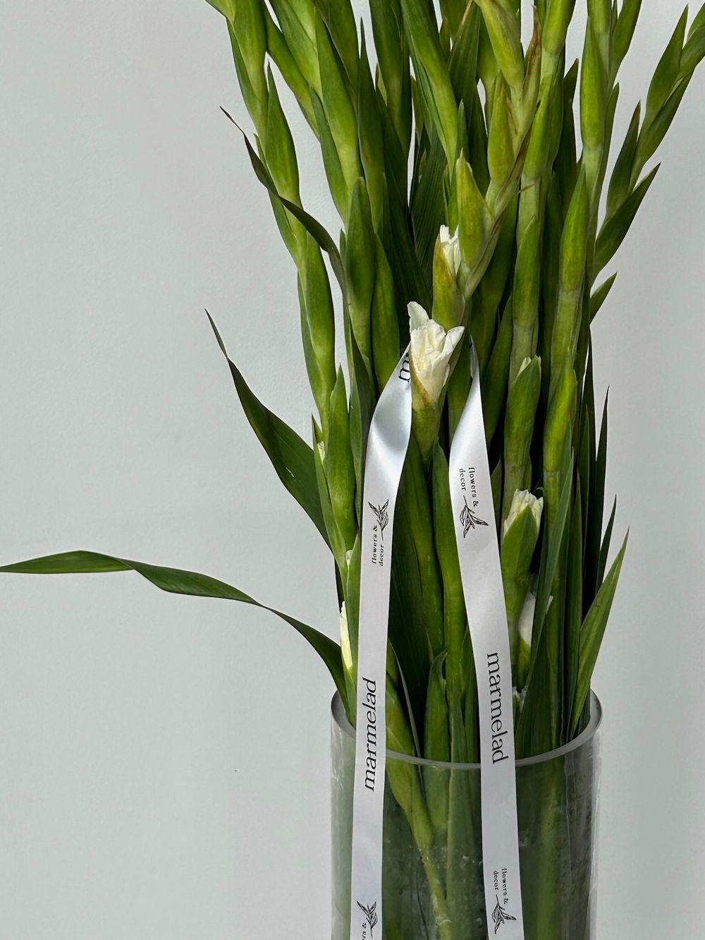 Гладиолус белый