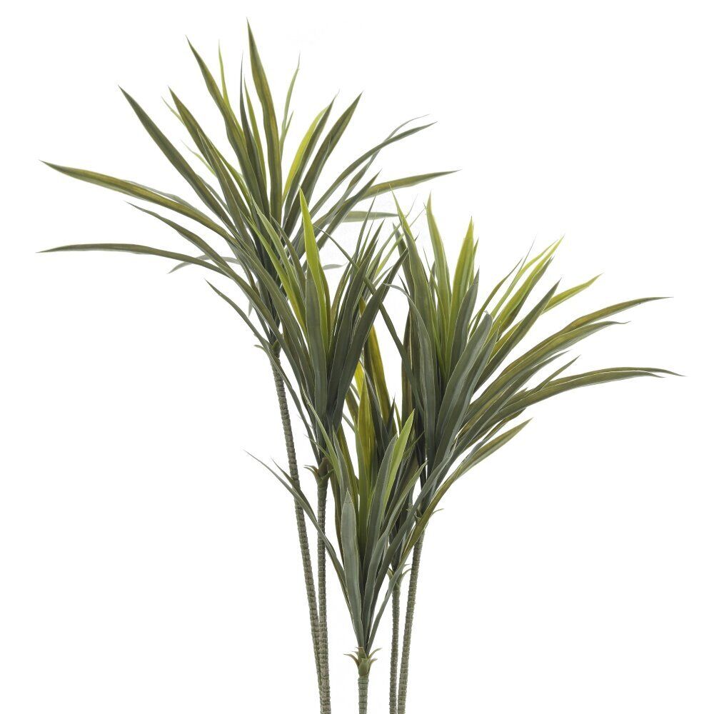 GAEM Цветочная композиция "Драцена", L75 W60 H133 см