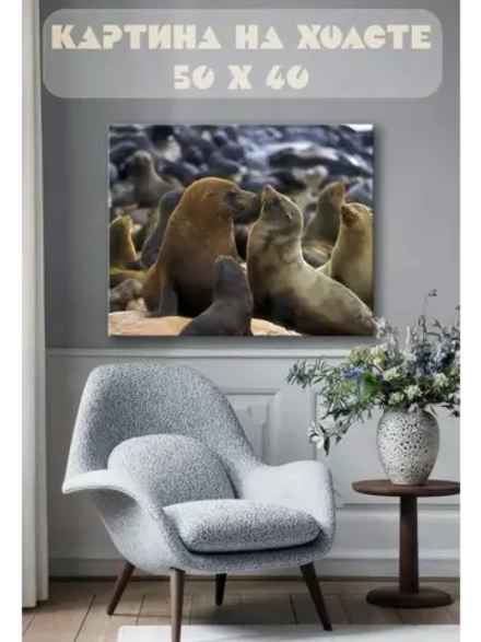 Картина на стену 40 X 50 Тюлени