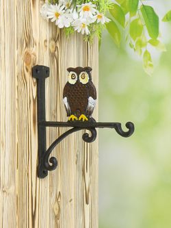Iron Garden Крючок декоративный Сова