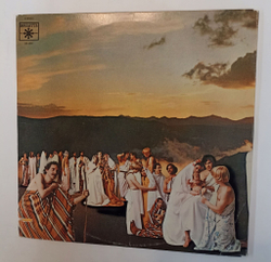 Винтажная виниловая пластинка LP Tommy James Christian Of The World (USA 1971)