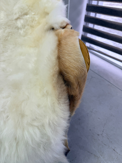 Шкура коврик меховой прикроватный овчина, 120х65 см.