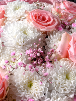 Единственной на свете