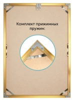 Алюминиевая фоторамка 40х55 см