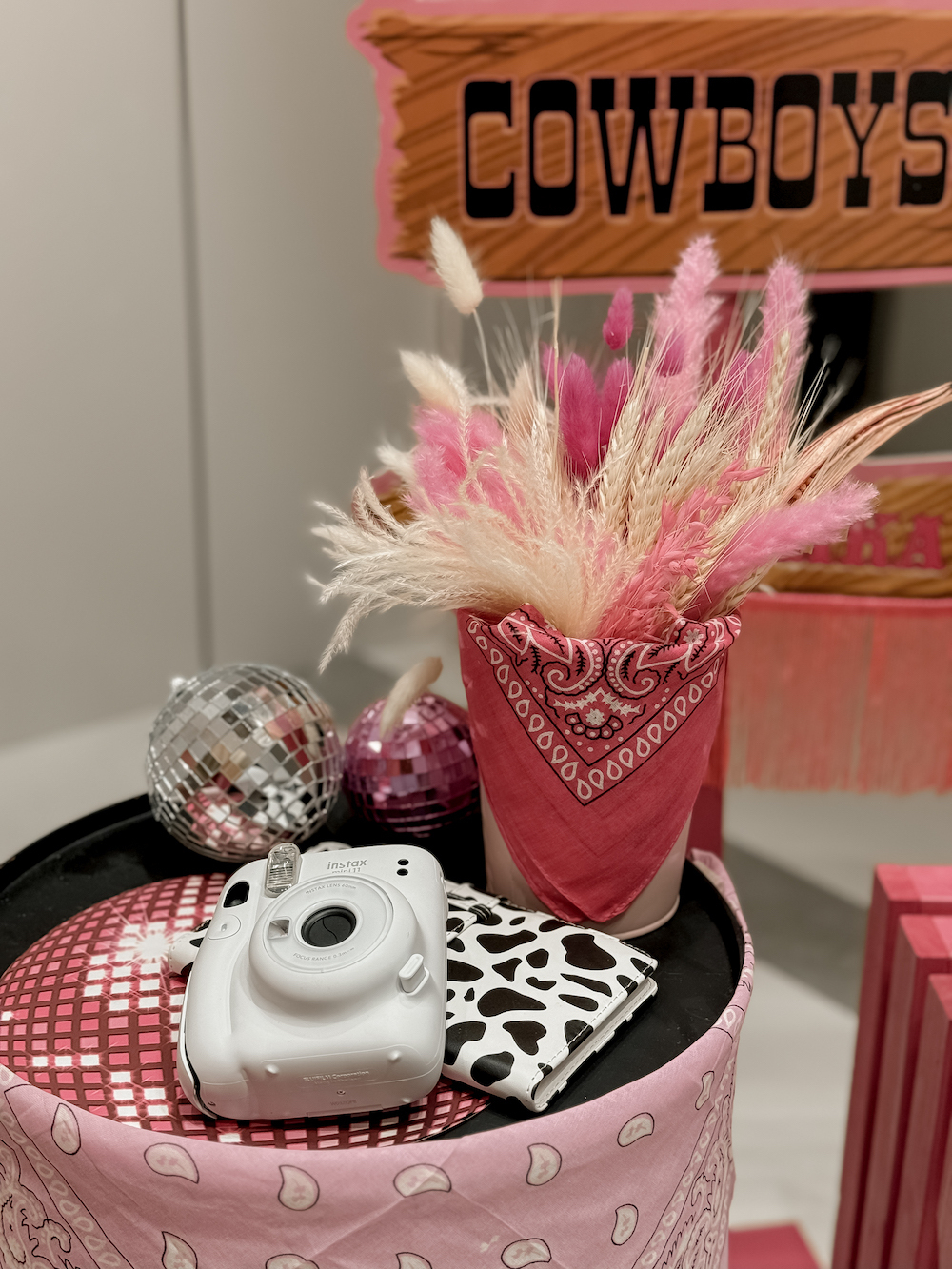 Cowgirl Party
