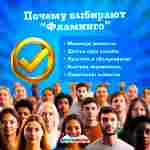 Бамперная лодочка «Мандарин», катамаран ручной, взрослый, 151×90×32 см