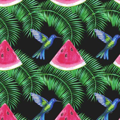 Колибри, дольки арбуза на чёрном