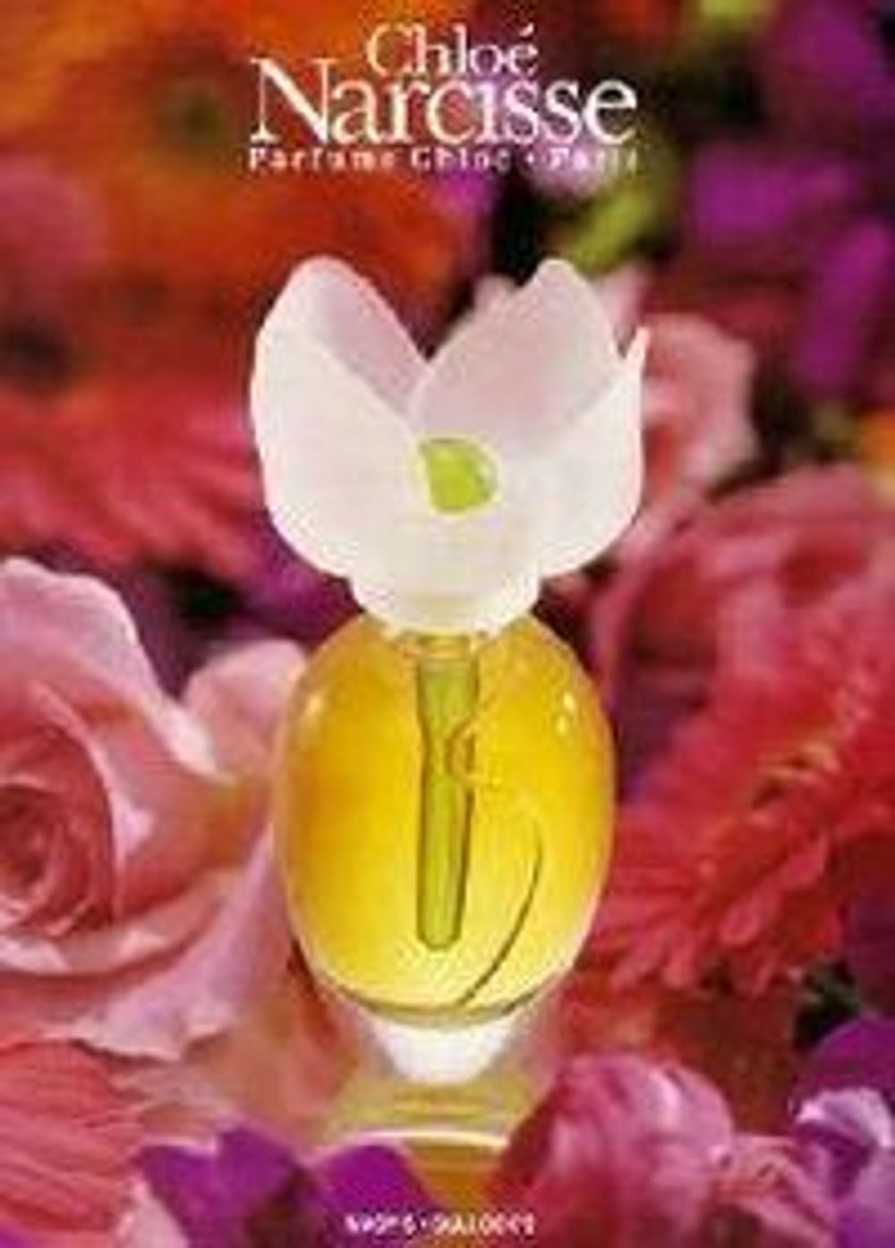 Chloe Narcisse