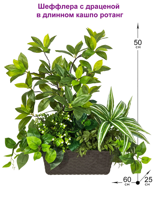 Искусственная Шеффлера с драценой 60см в длинном кашпо ротанг