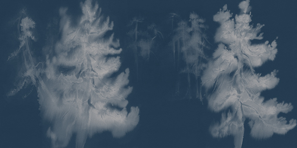 Фреска Applico, коллекция Natura