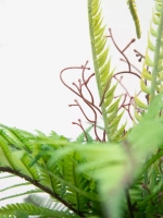 Искусственные растения для декора