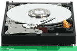 Жесткий диск WD 1TB WD10PURZ