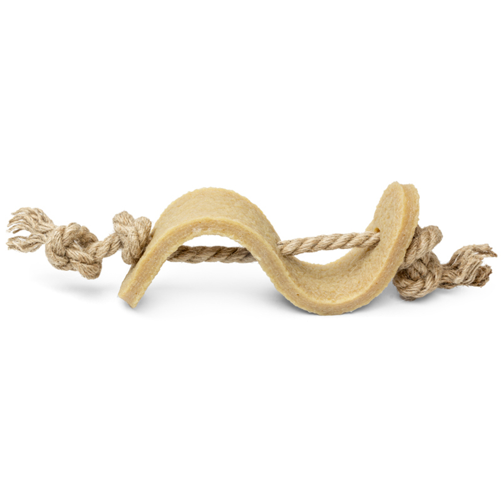 75344 Игрушка для собак Доллар из экорезины 13,5см, серия GUM GUM DOG ECO, GiGwi