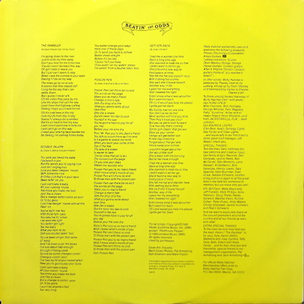 Molly Hatchet / Beatin' The Odds (LP)