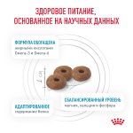 Royal Canin Skin & Coat Скин энд Коат Корм сухой диета для кошек поддержание здоровья кожи и шерсти 1,5кг