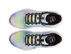 Кроссовки для бега женские Nike Pegasus 41 SE W Мультиколор