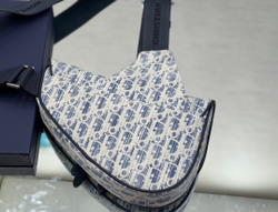 Christian Dior Saddle 26 cm