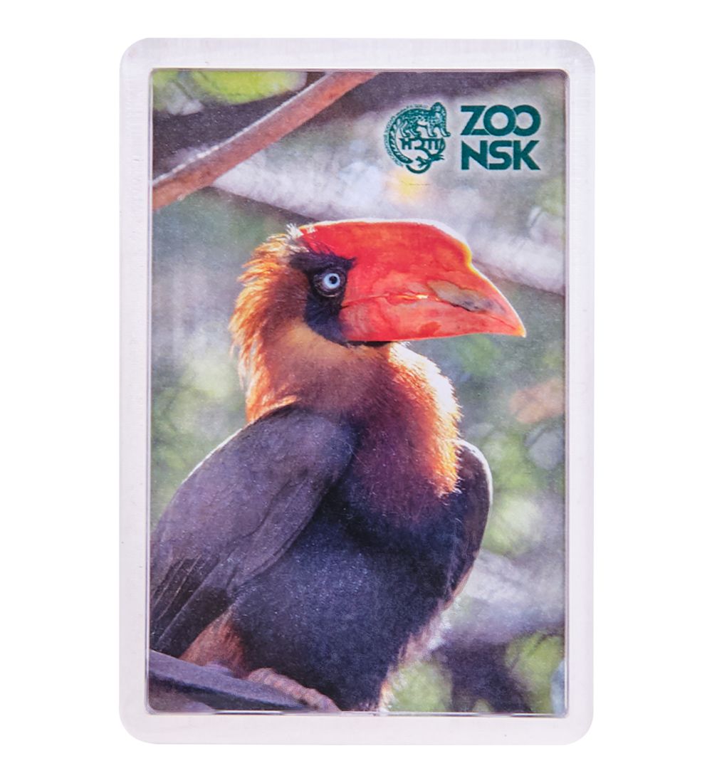 МТ- 001/19 Магнит «Новосибирский зоопарк»