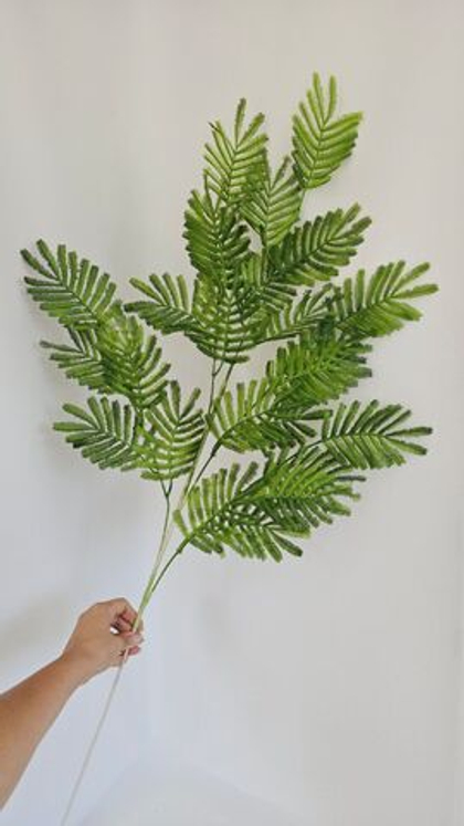 Папоротник Щитовник / Арт 5110