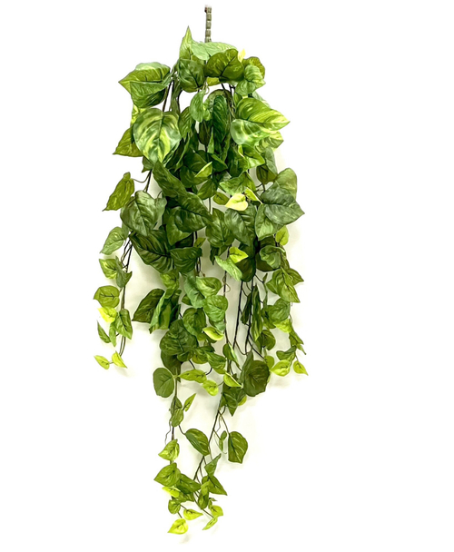 Эпипремнум куст 90 см.