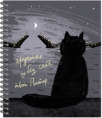 Тетрадь общая 48 листов на металлическом гребне "Питер я скучаю"