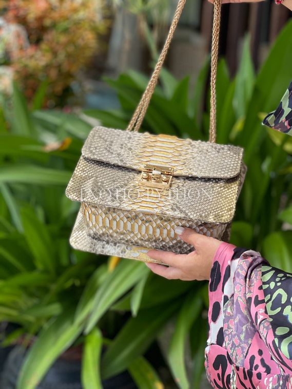 Сумка из кожи питона BG-432