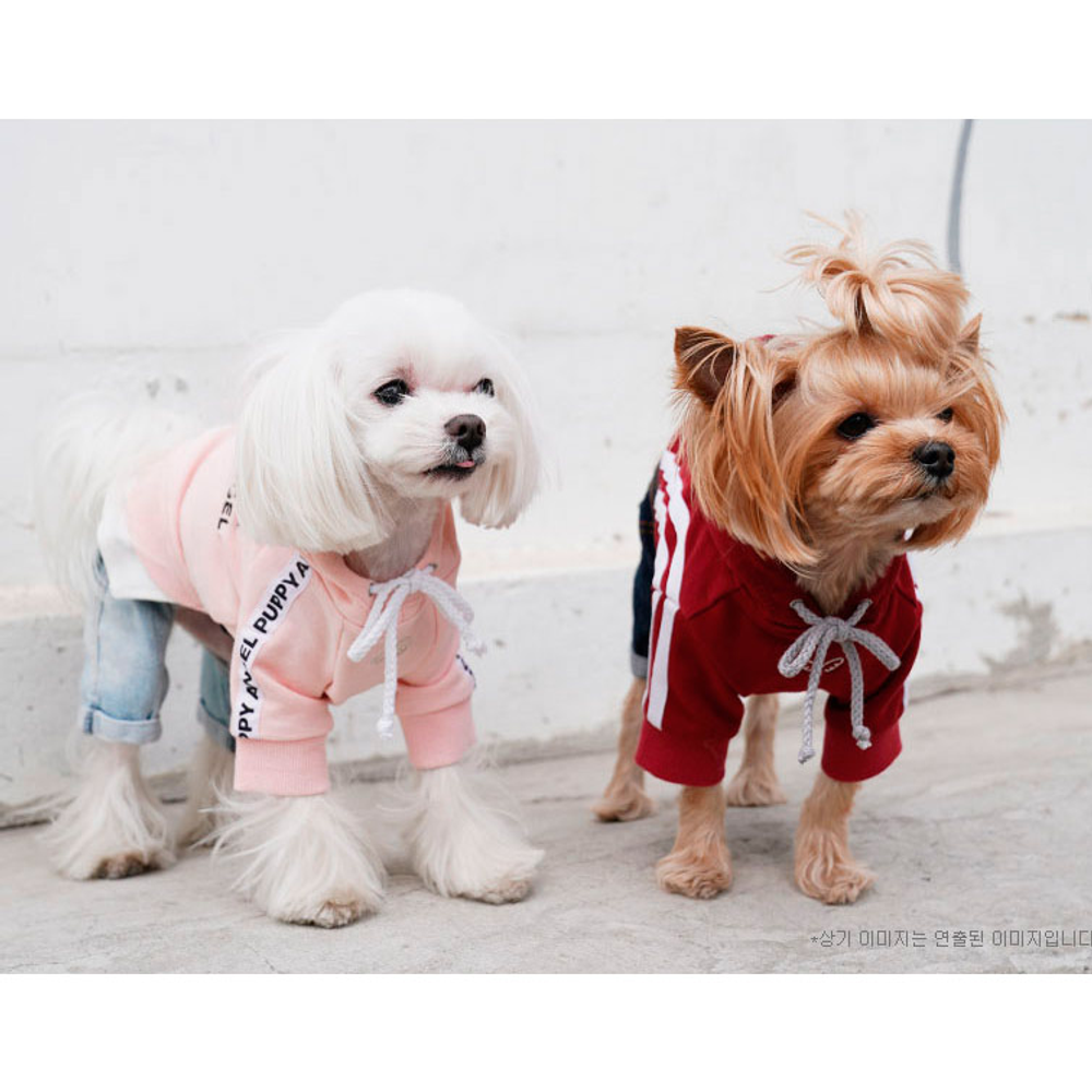 666 PA-TS Толстовка "PUPPY ANGEL"