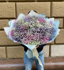 Букет из гипсофилы XL