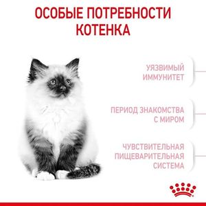 Уценка! Повр.упак./ Корм для котят до 12 месяцев, Royal Canin Kitten