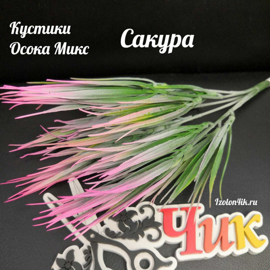 Куст ОСОКА  (Сакура)