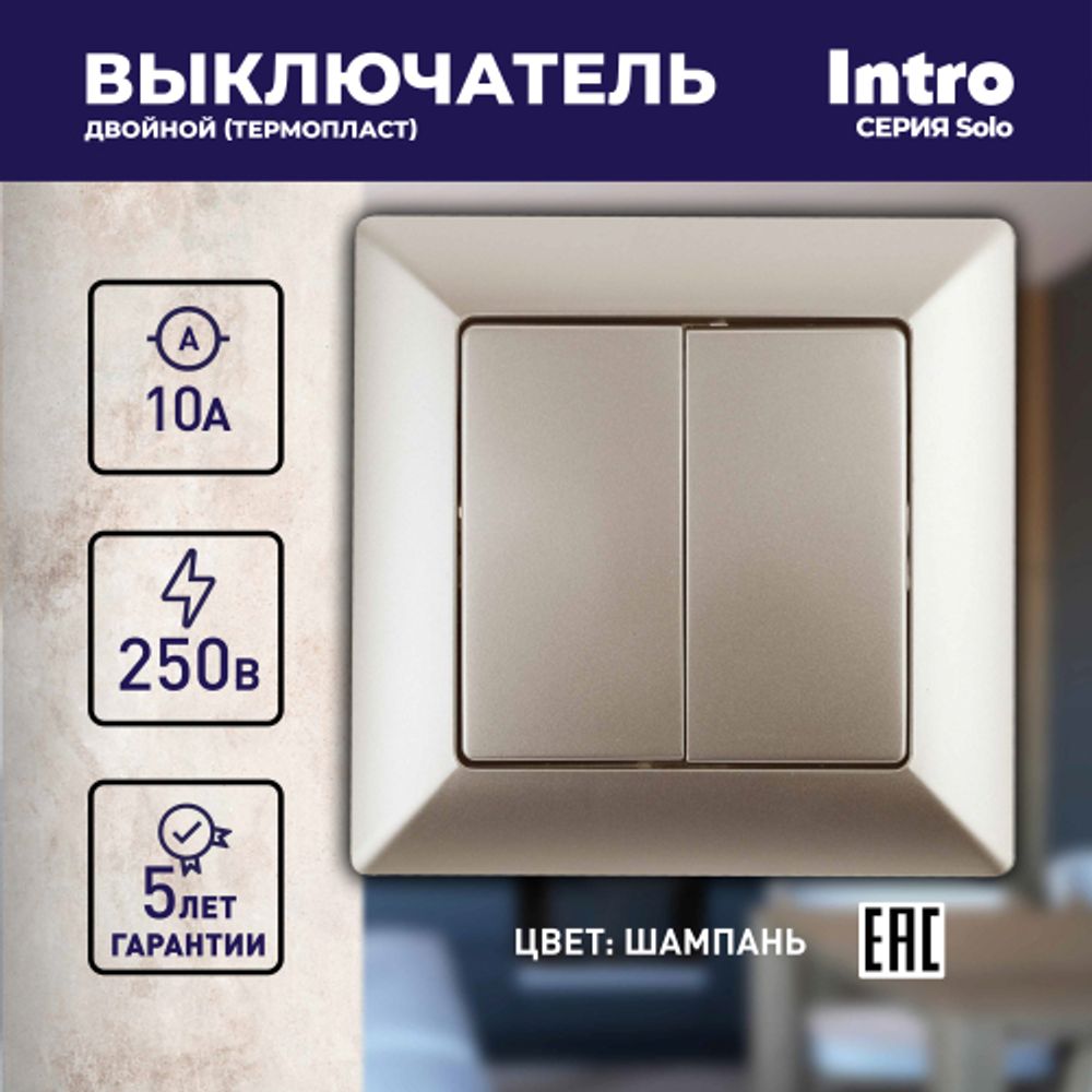 Выключатель Intro Solo 4-104-04 двухклавишный 10А-250В, IP20, СУ, шампань