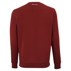 Детская теннисная толстовка Tecnifibre Team Sweater Junior - cardinal