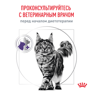 Корм для кастрированных котов и кошек , Royal Canin VCN Neutered Satiety Balance, с момента операции до 7 лет