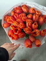 Букет из 35-ти оранжевых тюльпанов