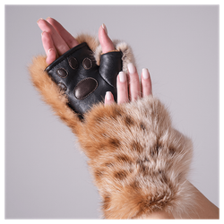 «Рысьи лапки»