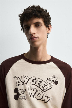 ZARA HARRY LAMBERT X DISNEY ФУТБОЛКА С ПРИНТОМ, КОРИЧНЕВЫЙ