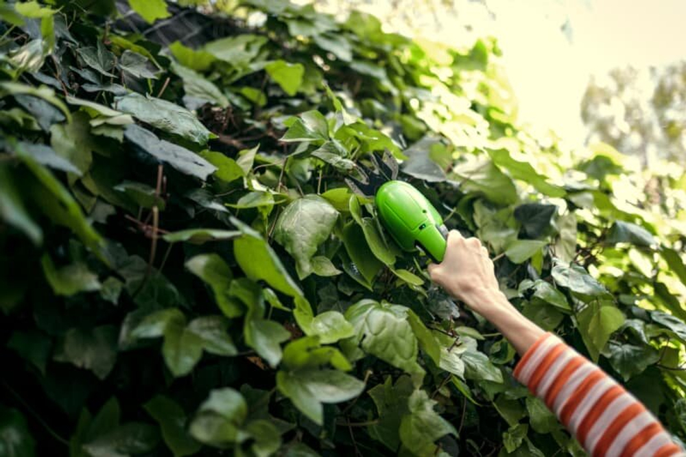 Ножницы аккумуляторные GREENWORKS G7,2GS 7,2V со встроен.аккум.2 Aч и телескоп.ручка (1600807)