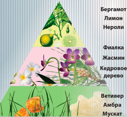 Только ты парфюмерная вода для женщин 55 мл. Новая заря, only you
