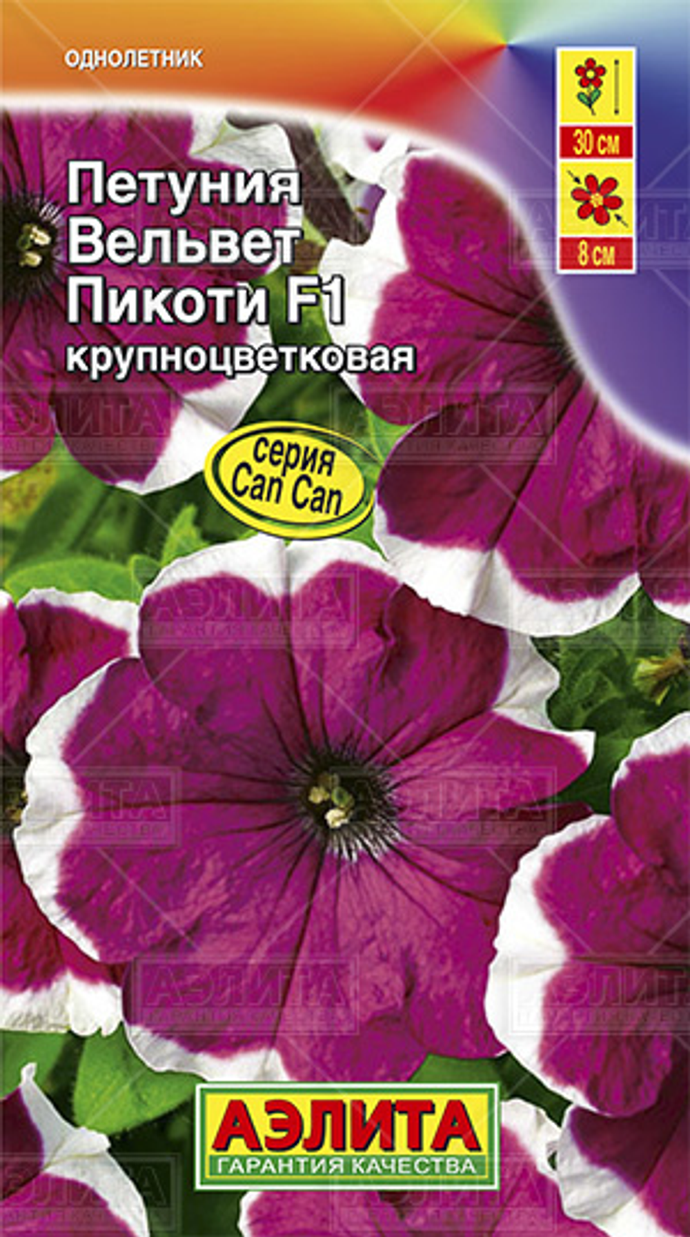 Петуния Вельвет пикоти Ц Аэлита