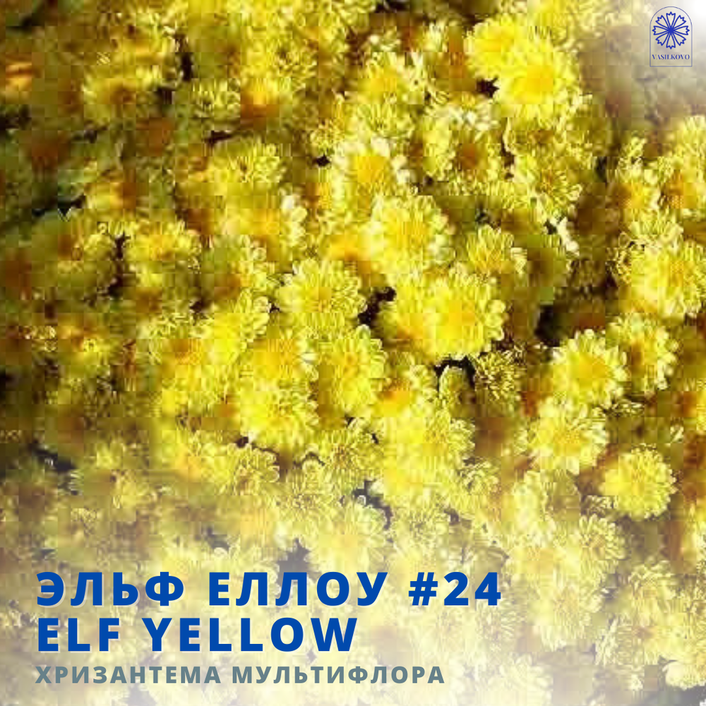 Эльф Еллоу 24