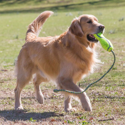 KONG AirDog Игрушка для собак Fetch Stick M