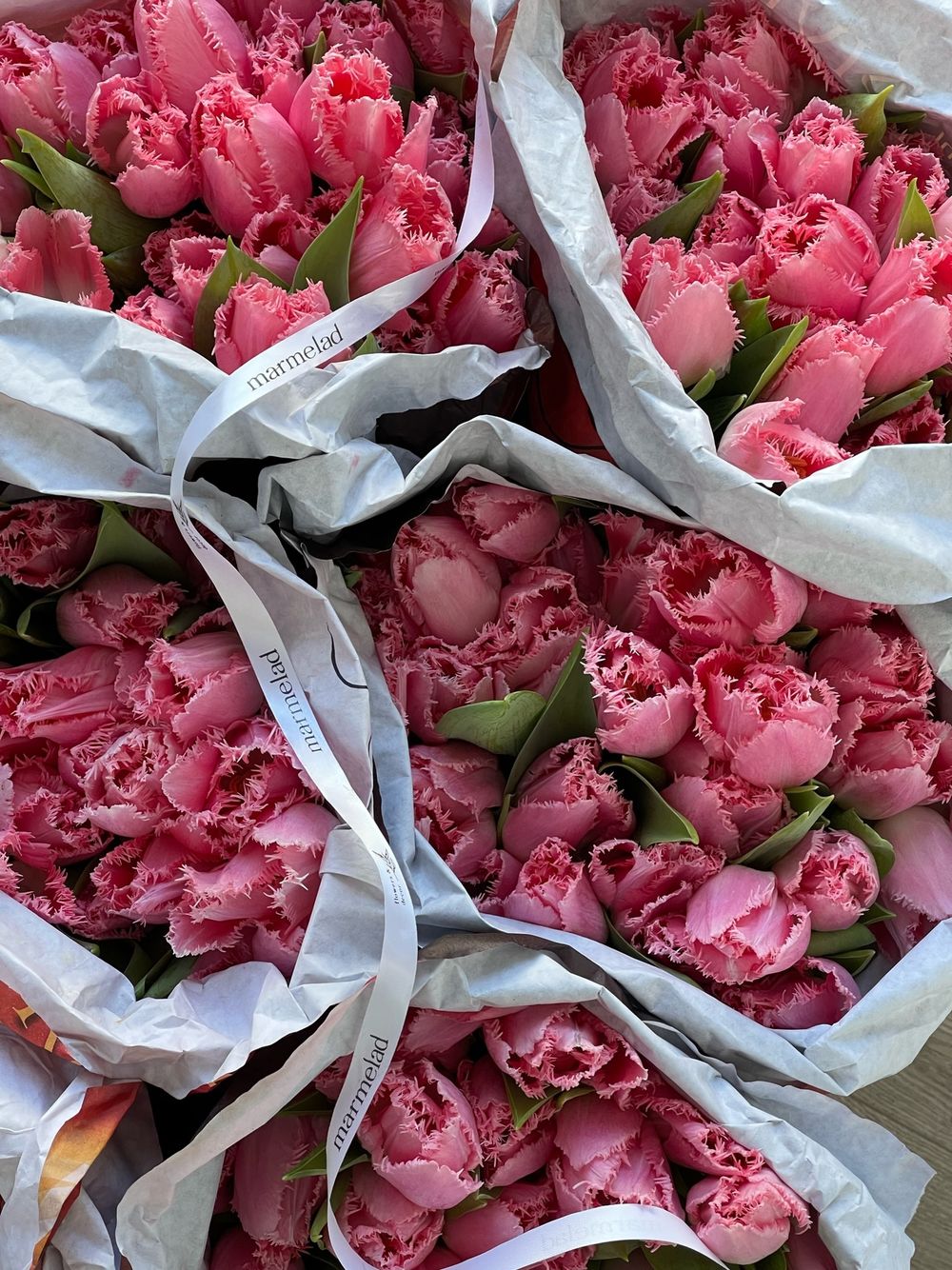 Тюльпаны кружевные - ярко-розовый цвет