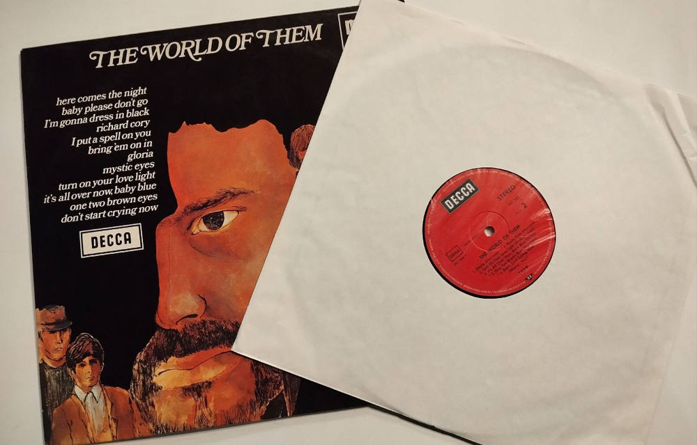 Винтажная виниловая пластинка LP Them The World Of Them (Germany 1975)