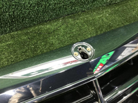 Решетка радиатора Mercedes S W222 (2013-2017)
